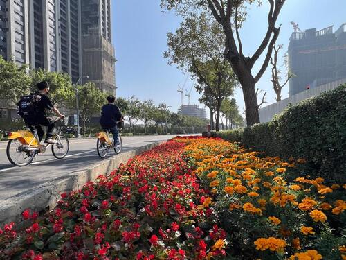 1150103二0二六新年走春好去處！台中道路、公園繽紛蒔花妝點城市景觀示意圖
