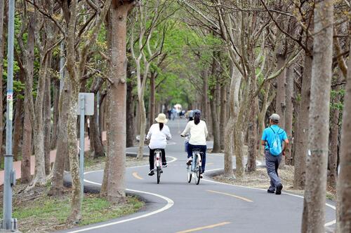 1150114消費保障再升級！中市推自行車出租「定型化契約」減少租賃爭議示意圖