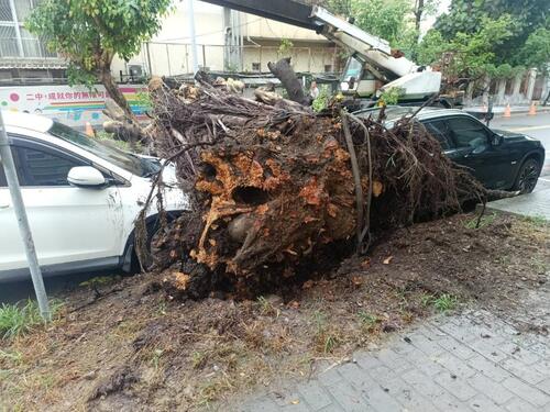 1150506中二中旁路樹倒壓損兩車 中市教育局：已啟動保險理賠、校園樹木全面健診示意圖