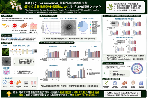 1150728興大研究破解月桃抗老關鍵  植物細胞外囊泡修復肌膚、提升細胞能量示意圖