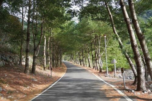 1150807台灣好湯「山谷巡禮・星空樂章」9月5日谷關登場 超值部落健行遊程即起報名享溫泉飯店住宿優惠示意圖