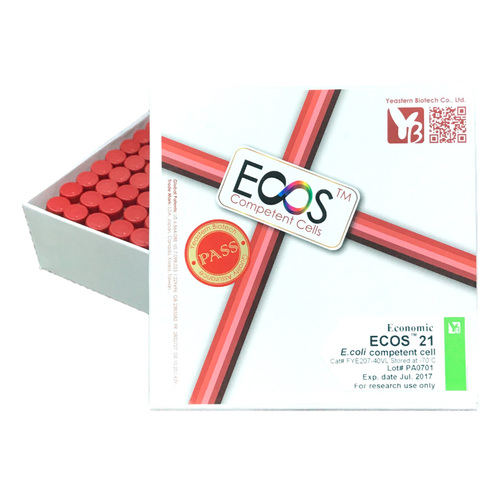 ECOS™ 21 Competent Cells, BL21(DE3)示意圖