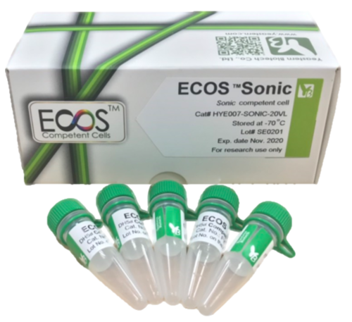 ECOS™ Sonic™ Competent Cells, [BL21(DE3) Derived]示意圖