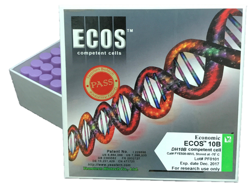 ECOS™ 10B Competent Cells, DH10B示意圖