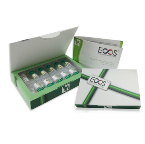 ECOS™ X Competent Cells, DH5α示意圖