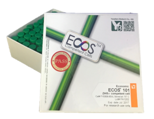 ECOS™ 101 Competent Cells, DH5α示意圖