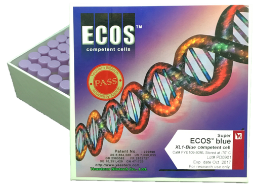 ECOS™ Blue Competent Cells, XL1-Blue示意圖