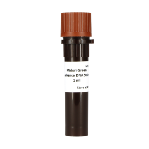 NIPPON Genetics EUROPE Midori Green Advance示意圖