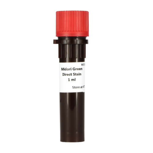 NIPPON Genetics EUROPE Midori Green Direct示意圖