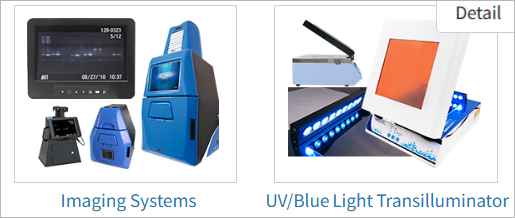 Gel Documentation System