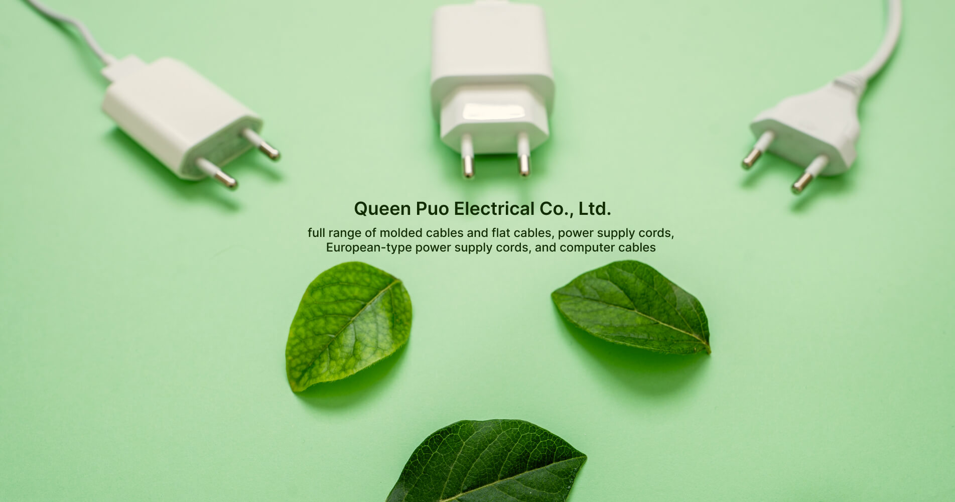 Queen Puo Electrical Co., Ltd.
