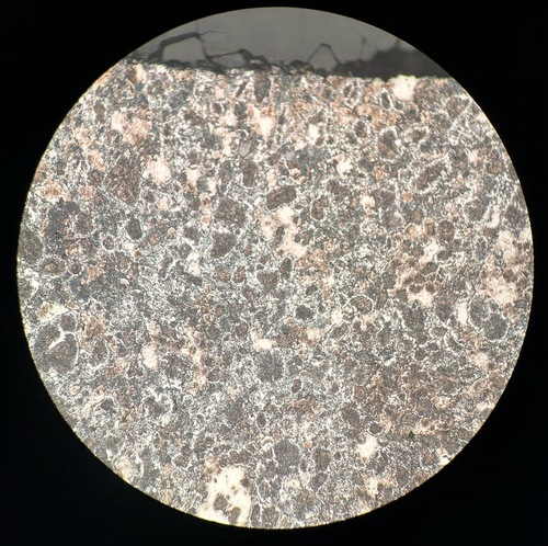 2024/10/24 Fe Result示意圖