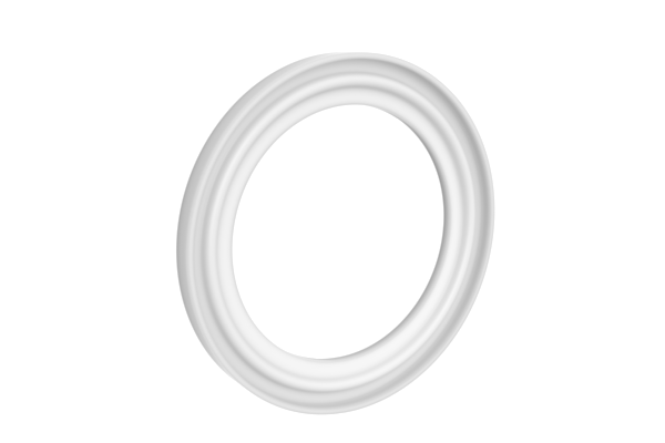 ES-TYPE PTFE CLAMP GASKET