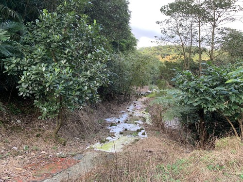 七堵國有地租賃權轉讓圖片