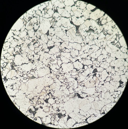 2025/02/03 SUS 結果示意圖