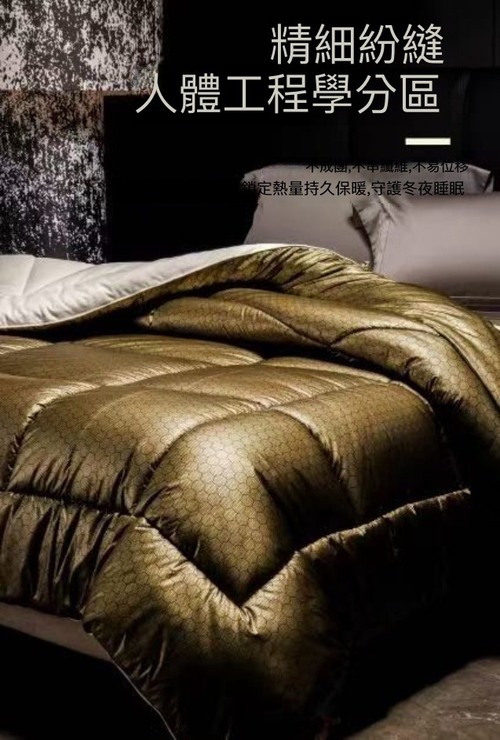 【Hilton 希爾頓】石墨烯黑金24K太空恆溫被(B0856-K25)示意圖