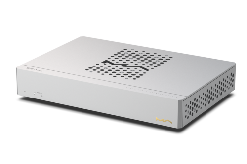 Matrix Audio SS-1 Pro 網路交換器示意圖