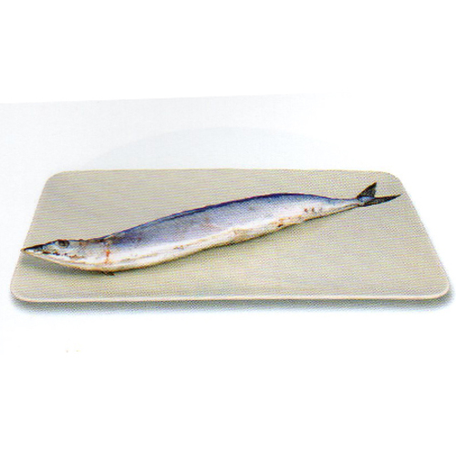 秋刀魚(特大,1號,2號)示意圖