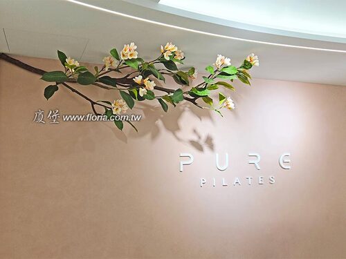 【中壢 Pure pilates 皮拉提斯】示意圖