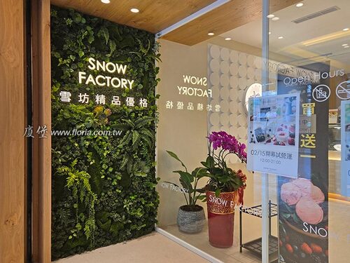 【台北 SNOW FACTORY雪坊康寧門市】示意圖