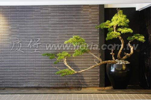 【 似水年華 】示意圖