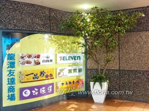 【 龍潭 友達光電 】示意圖