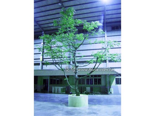 【  緹諾時尚生活館  】示意圖