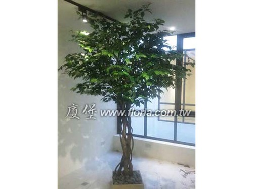 【 高雄 余登發紀念館 】示意圖