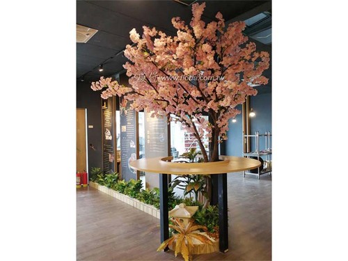 【 九湯屋拉麵 台南安和店 】示意圖