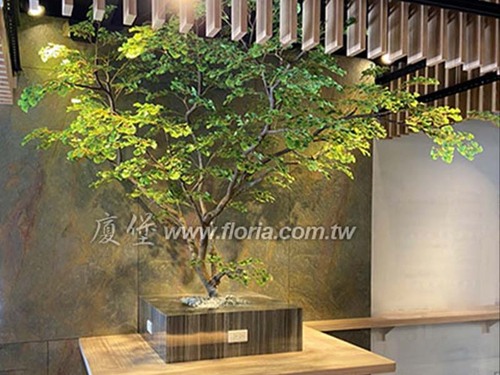 【 九湯屋拉麵 台南安平店 】示意圖
