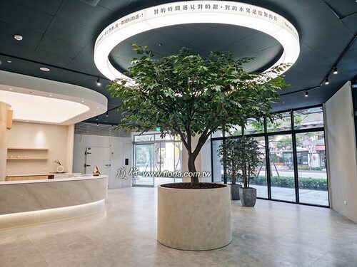 【新北 水果禮盒專賣店 人造樹】示意圖