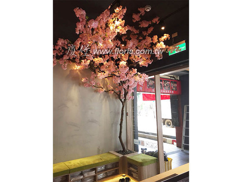 【 指舞春秋 士林店 】示意圖