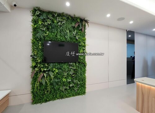 【北投  牙醫診所 / 人造草皮植栽牆】示意圖