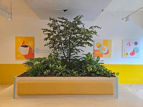 【 QBurger 中壢店】示意圖