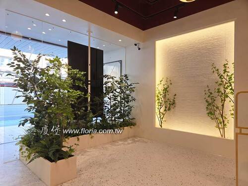 【 Jewel Cafe 桃園復興店 | 穿透日照與光影的綠色屏風 】示意圖
