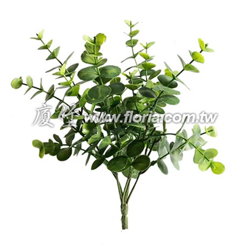 怡心草示意圖
