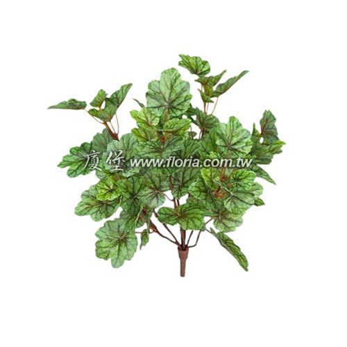 珊瑚鈴(綠)示意圖
