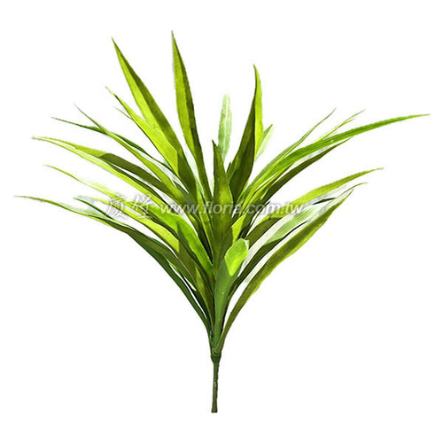 石滬蘭葉示意圖