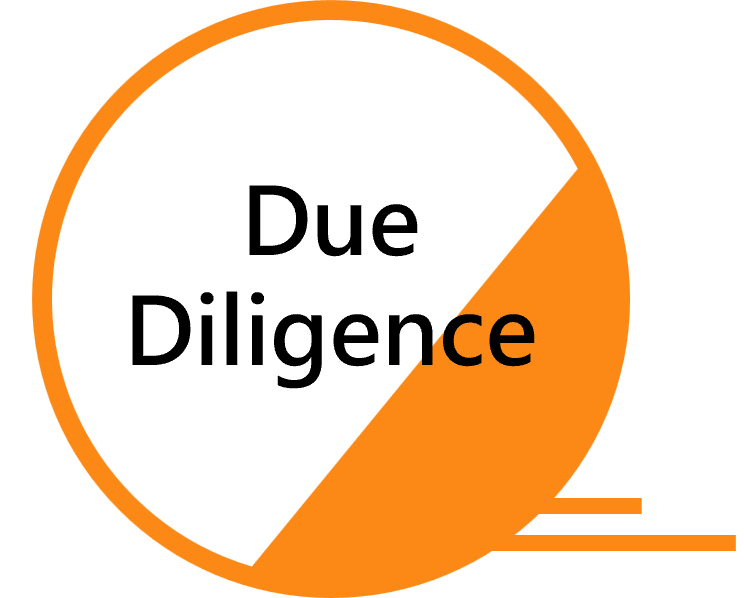 Due Diligence