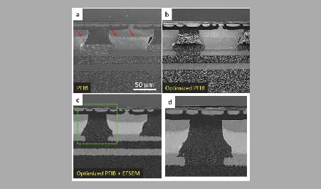 MSS niche analysis  on substrates: PFIB and advanced imaging method