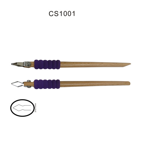 CS1001示意圖
