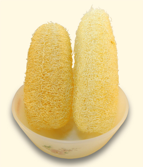 4吋 5吋菜瓜布與一般飯碗