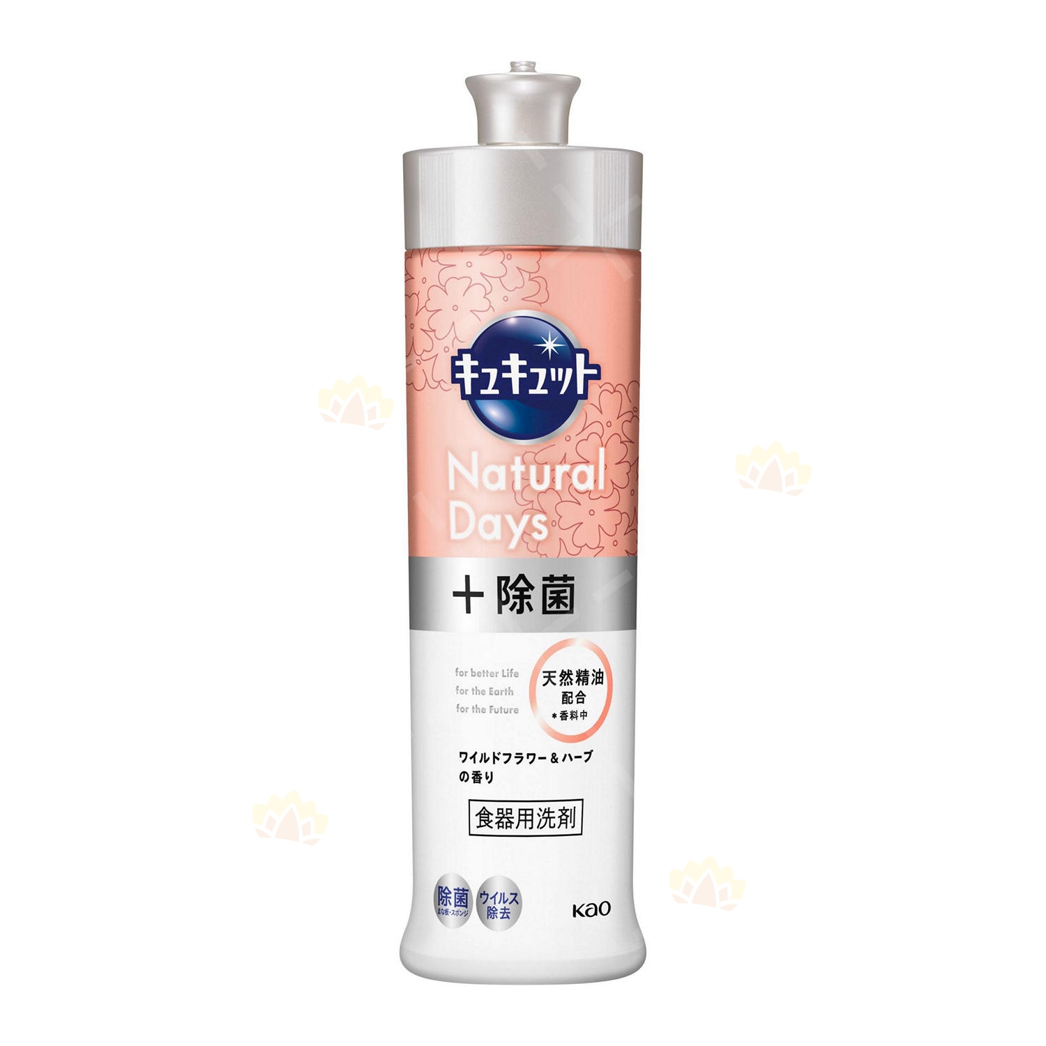 抑菌速淨洗碗精(花香&草本香)240ml示意圖