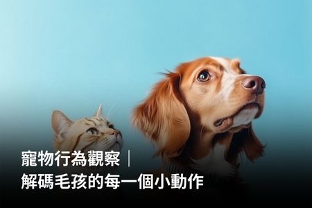 寵物行為觀察｜解碼毛孩的每一個小動作
