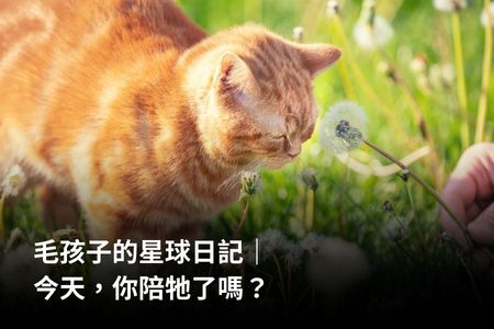 毛孩子的星球日記|今天,你陪牠了嗎?
