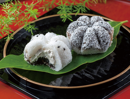 雪之戀/大巨蛋示意圖