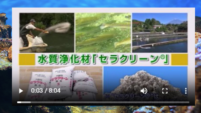 影片縮圖