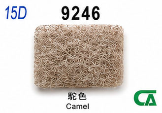 9246示意圖