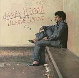 詹姆斯布朗: 叢林的律動 ( 180克 2LPs)<br>James Brown: In the Jungle Groove示意圖