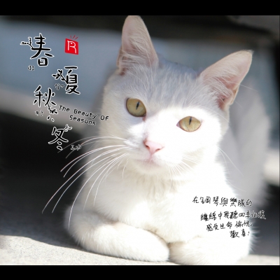 《春?夏?秋?冬》( CD 版 )<br>The Beauty Of Seasons / 作曲：藤原育郎示意圖
